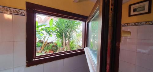 Vistas desde baño planta baja