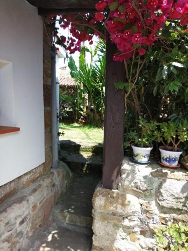 Jardin entrada desde casa