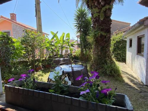 Vista desde apartamento