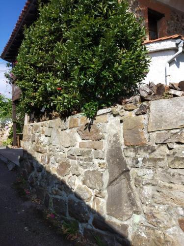 Restos del antiguo horreo